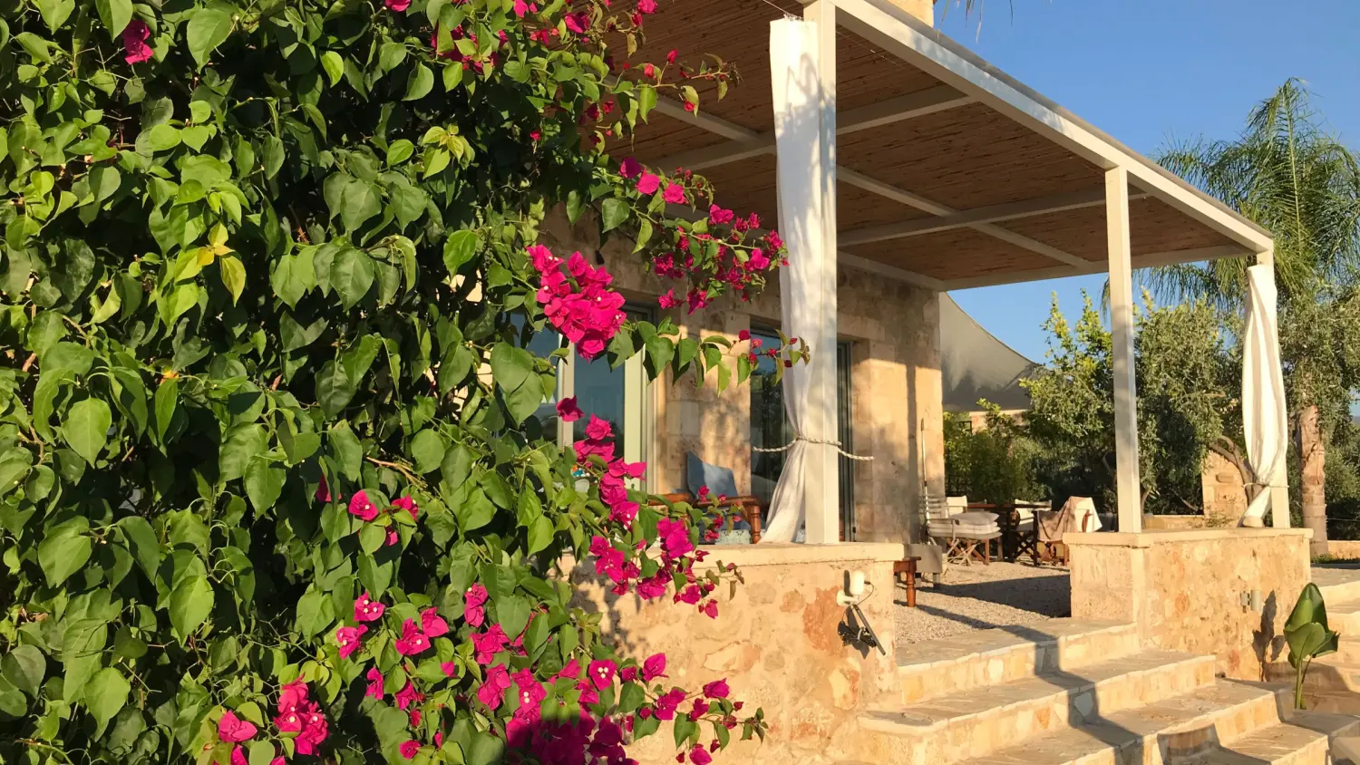 Praxis Lebenswege – Hauseingang mit rosa Blumen